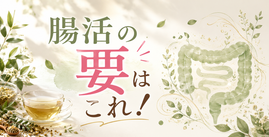 腸活の要は「消化・吸収」！食べたものより、身体に吸収されたものが大切