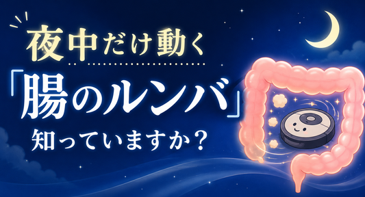 夜中だけ動く「腸のルンバ」って知っていますか？ガス腹の人が知っておきたい胃腸の休ませ方