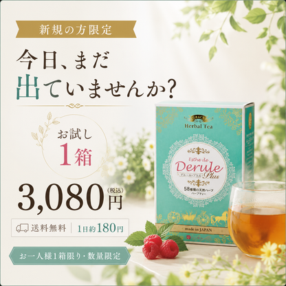 デルールプラス お試し1箱【新規の方限定】