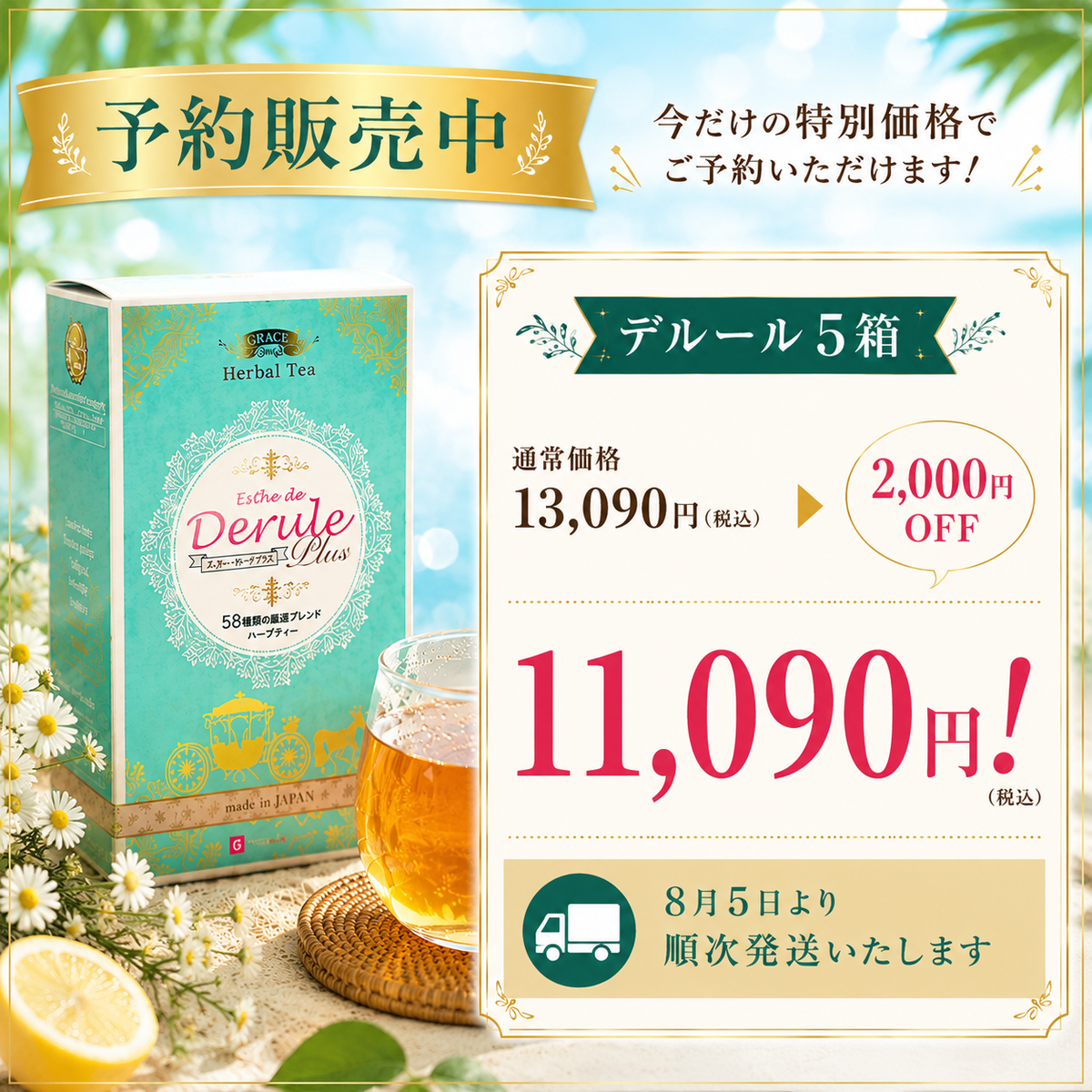 予約販売【8月5日発送】｜デルールプラス 5箱セット
