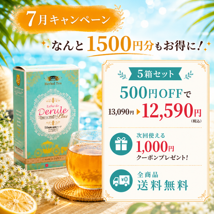 【7月キャンペーン１5００円分お得！】Esthe de Derule Plus ( デルール プラス ) 5箱セット