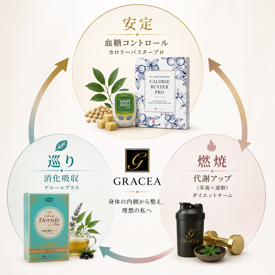 GRACEAの体質改善アプローチ｜デルールプラスで消化吸収・カロリーバスタープロで血糖コントロール・ダイエットチームで代謝アップ