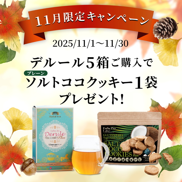 11月のキャンペーンのお知らせ